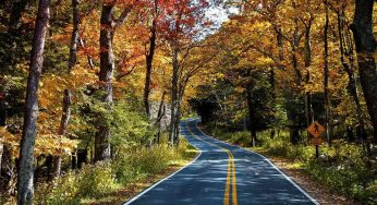 6 Best Weekend Getaways from Kolkata