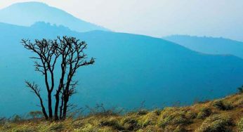 Finding The Top 10 Fabulous Places to Visit in Pune