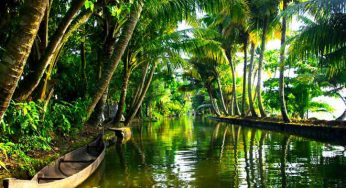 Best Picnic Spots Near Kochi