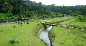 Top 15 Places to Visit in and Around Mysore