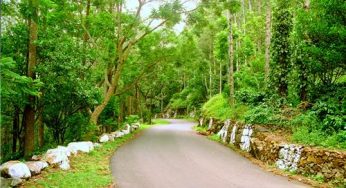 10 Best Road Trips in South India in Summers