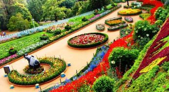 Top 15 Self Drive Road Trips From Bangalore to Ooty – Queen of the Nilgiris