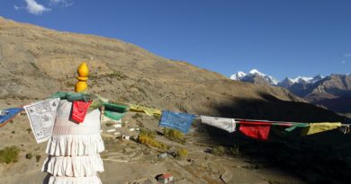 road trips from delhi to ladakh
