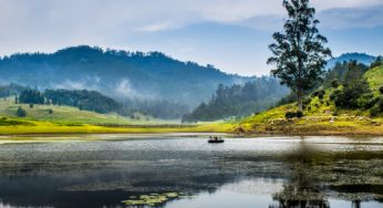 Road Trip From Bangalore to Kodaikanal