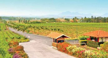 Adventurous Road Trips to Take in Maharashtra