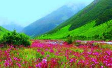 places to visit in uttarakhand in july