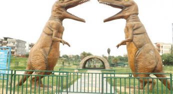 Road Trips to Picnic Places and Amusement Parks in Chandigarh