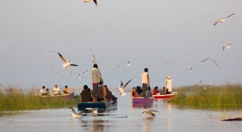 Quench Your Wanderlust: Go for Road Trips from Ahmedabad!  