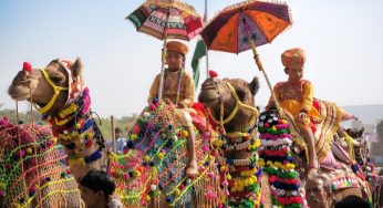 Steep in festive fervour by taking a road trip to Rajasthan!