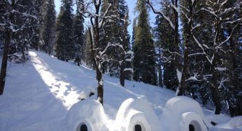 Escape the Heat: Best Places to Visit in Himachal Pradesh in June