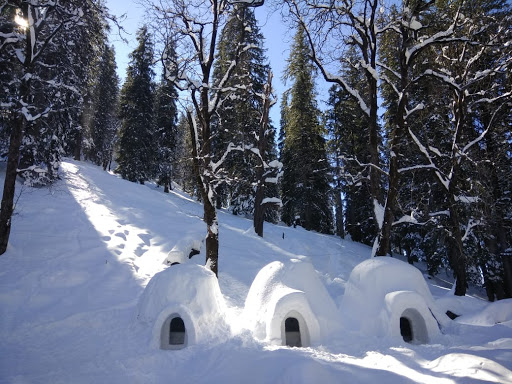 places to visit in himachal pradesh in June