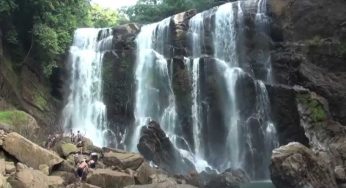 Surrender to the allure of a Mumbai to Dandeli road trip