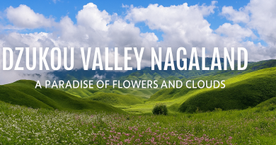 Dzukou Valley Nagaland